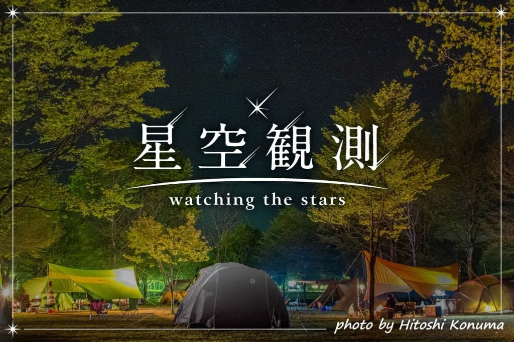 Starry Nights and Nature
