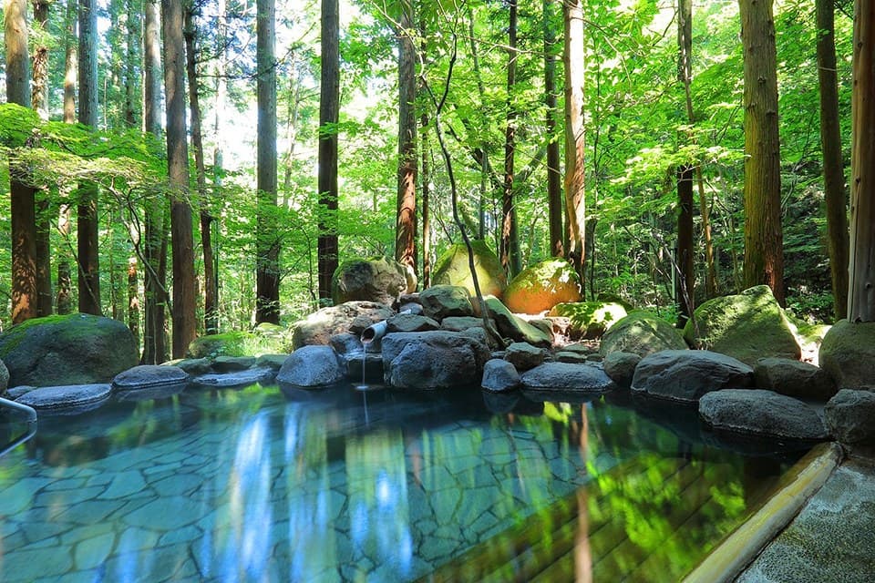 The Forest-Embraced Open-Air Bath 'Shinpeki (深碧)'