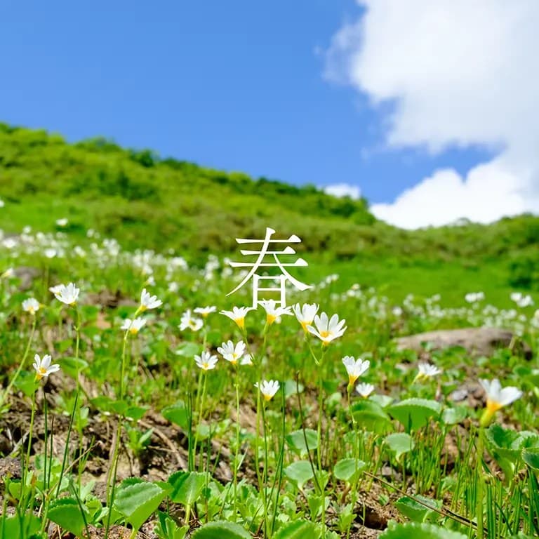 The Foothills of Mount Kurikoma: Nature Through the Seasons