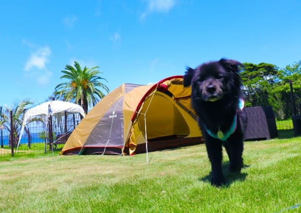 Camping & Getting Here