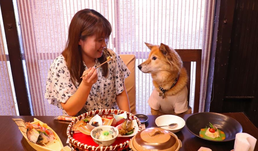 A Dinner Table Filled with the Sea of Minami-Boso