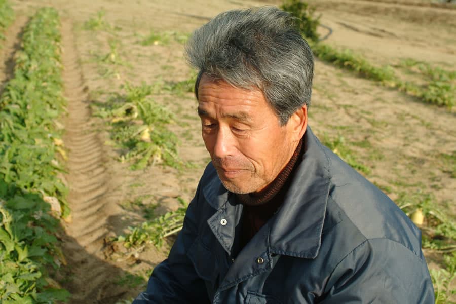 식사와 카이세키