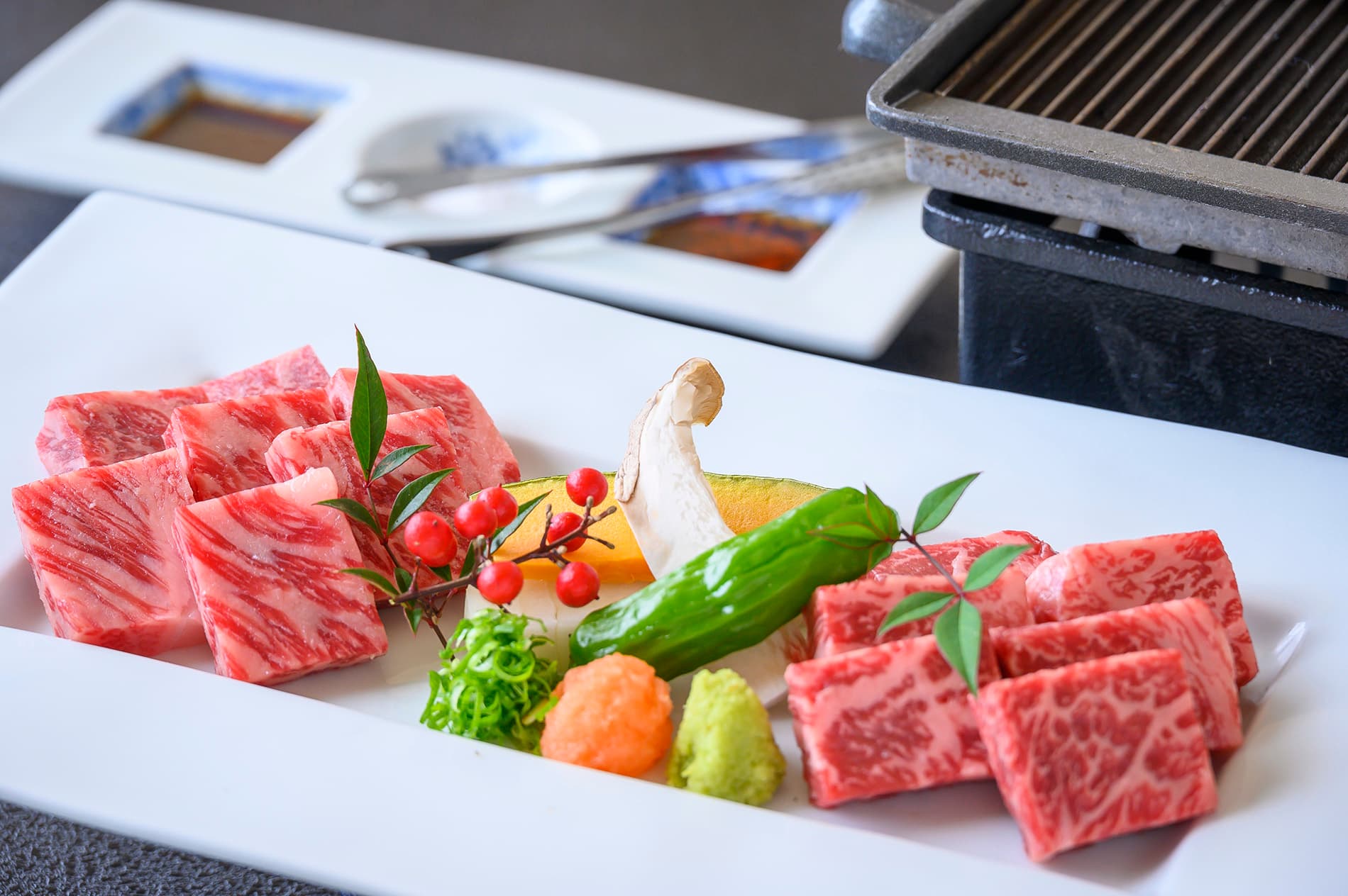 Kaiseki from Tottori's Mountains and Sea