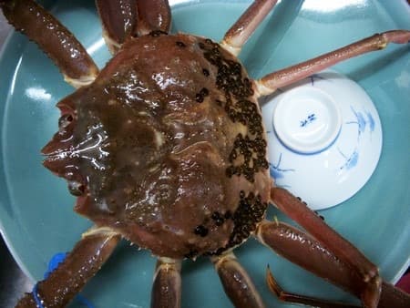 제철 해산물의 향연