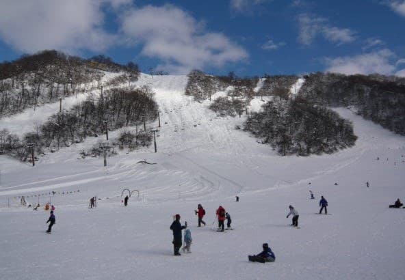직접 기른 제철 식재료