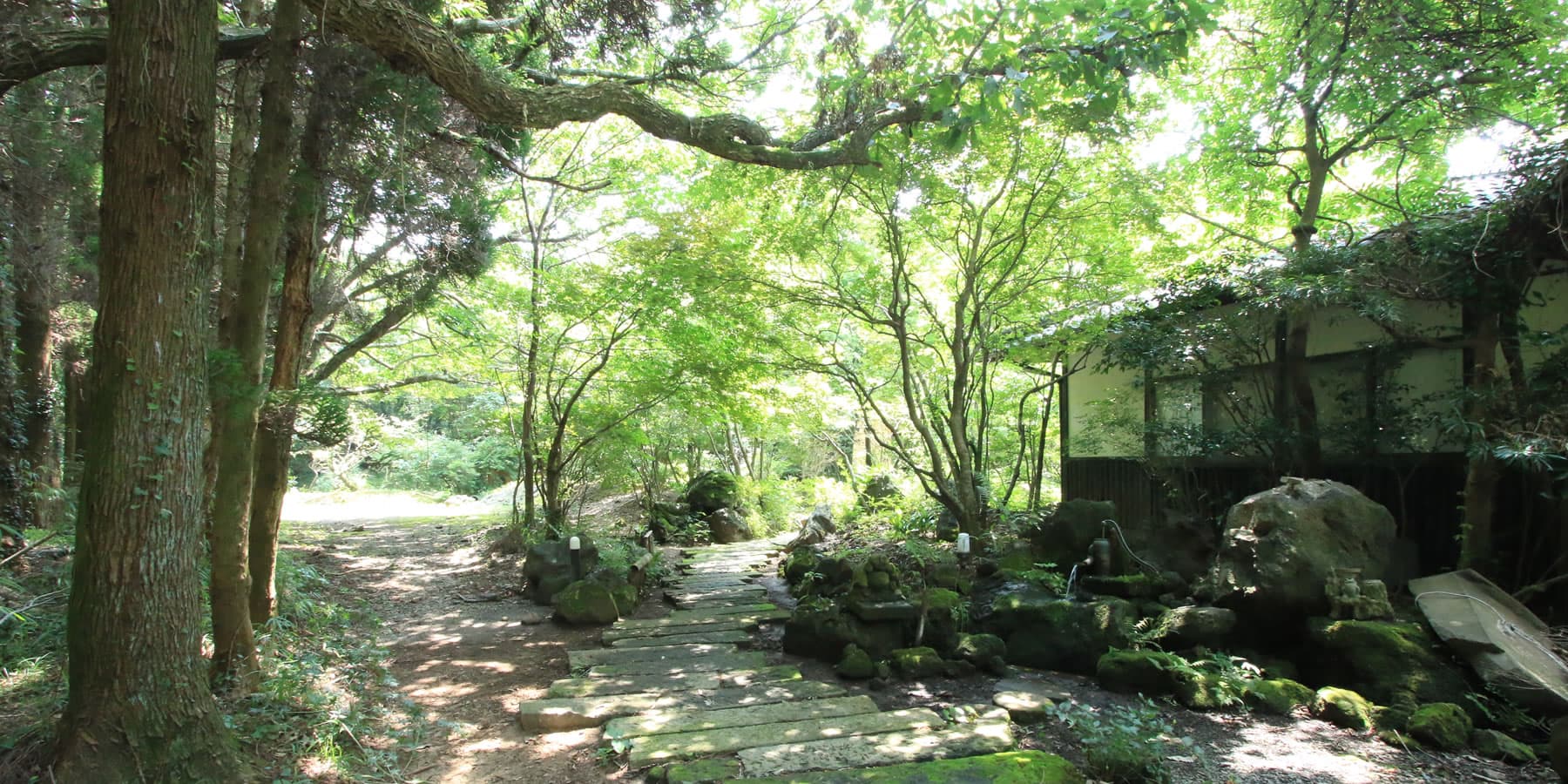 The Nature of Aso