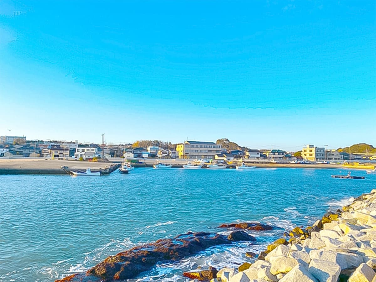 The Coast and Its Views
