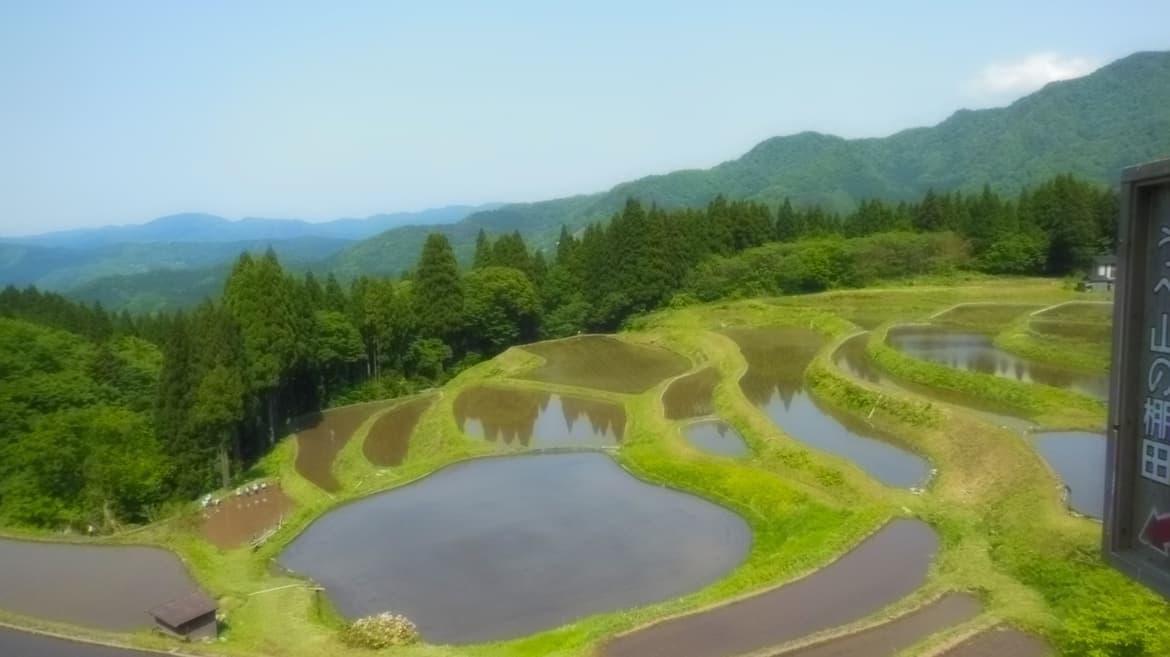 주변 풍경