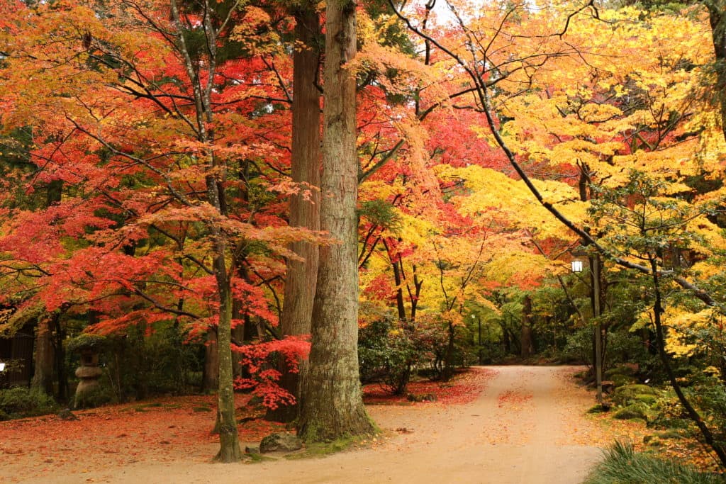 6000평 숲의 정원