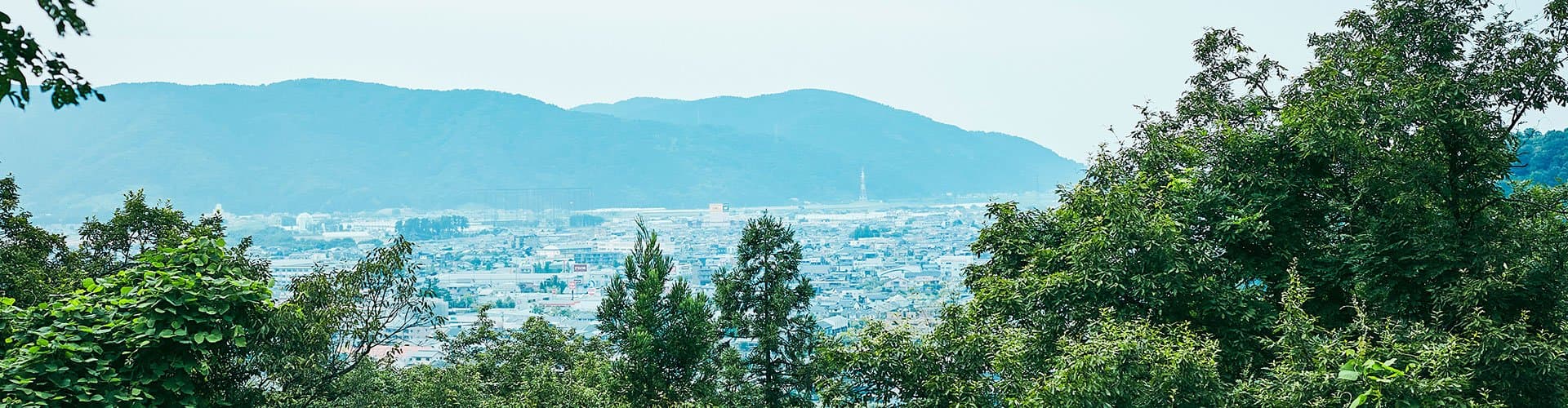 위치와 주변