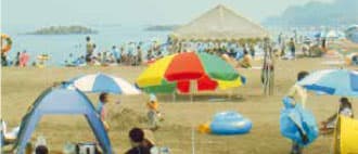 Something to Do in Every Season