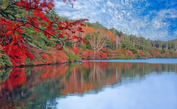 별·호수·숲, 사방이 자연