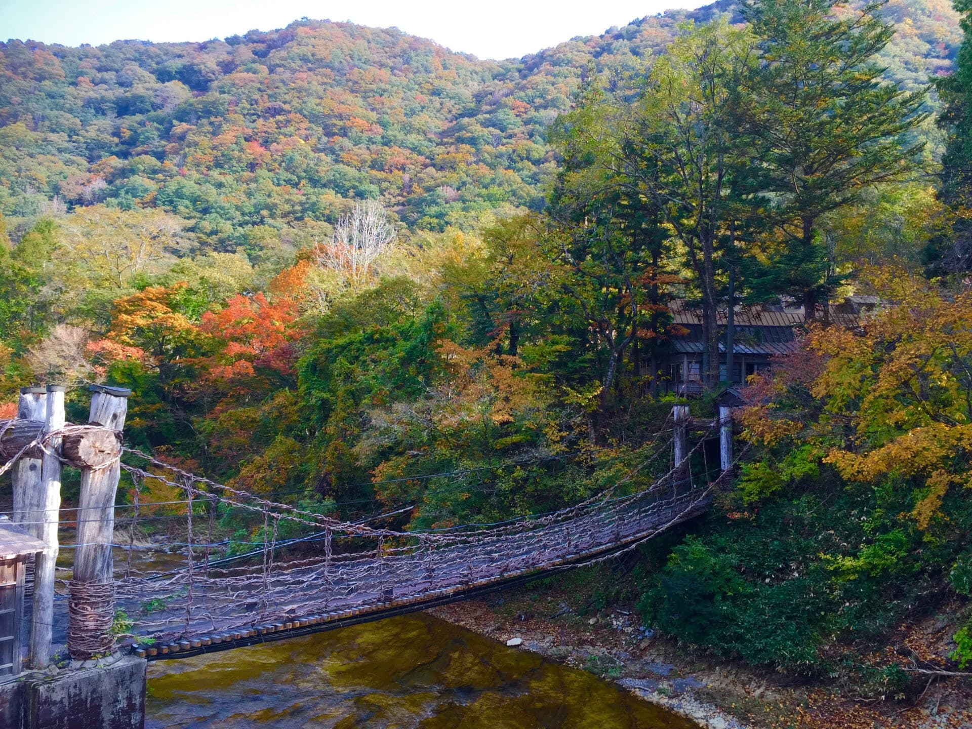 직접 건너는 かずら橋 넝쿨다리
