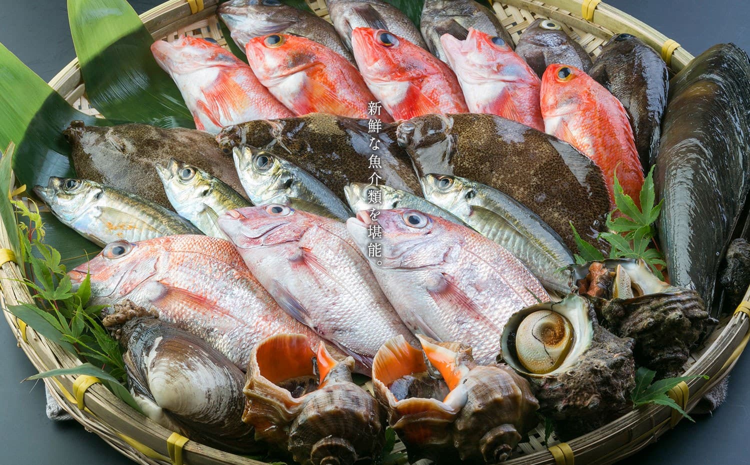 A Feast of Fish and Shellfish