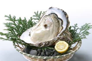 Eriyaki Nabe, a Taste of Home