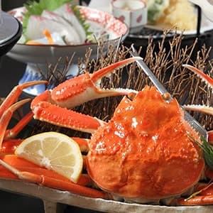 Echizen crab and Wakasa fugu