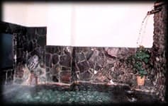 A Bath Scented with Hinoki