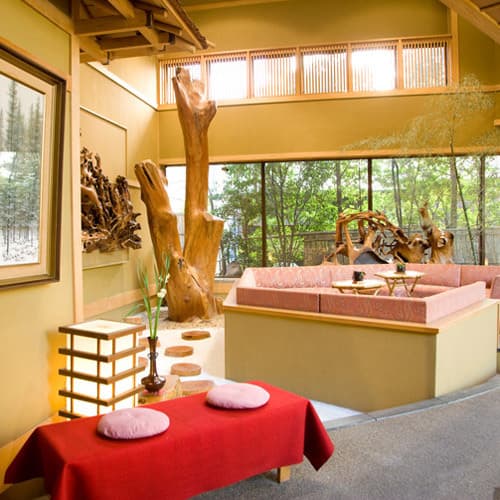 Lounges and Facilities