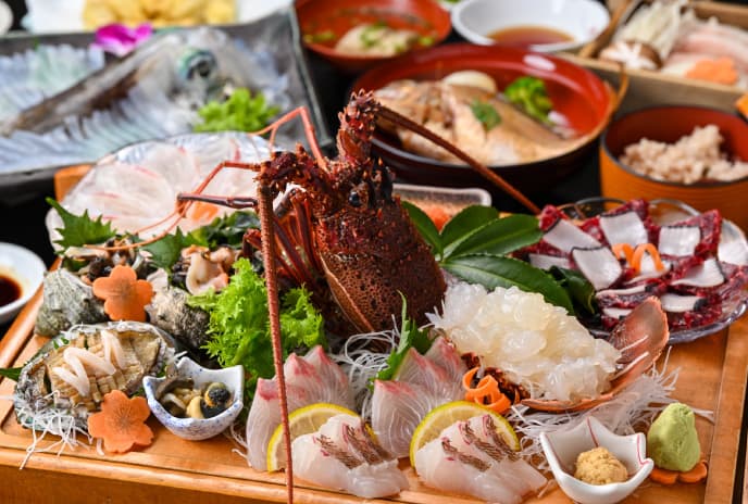 Yobuko Squid, Cut Live