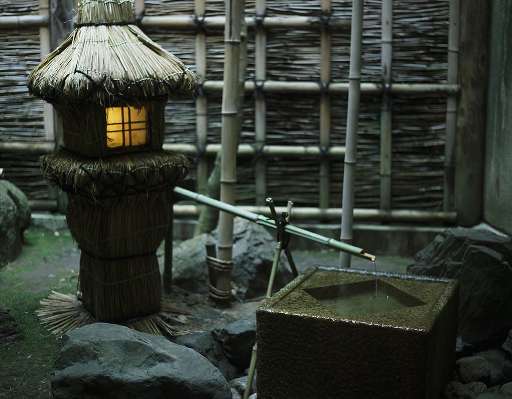 The garden that defines the house