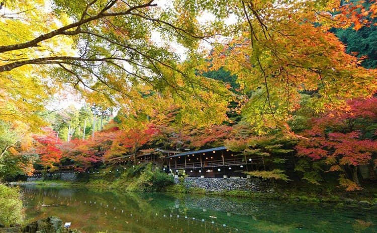 풍경 산책