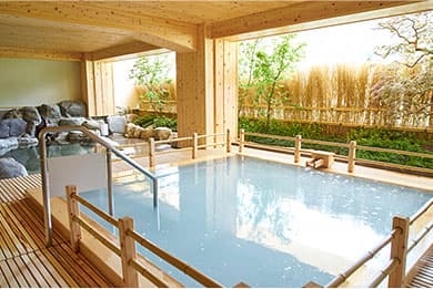 Five baths facing the Hida River