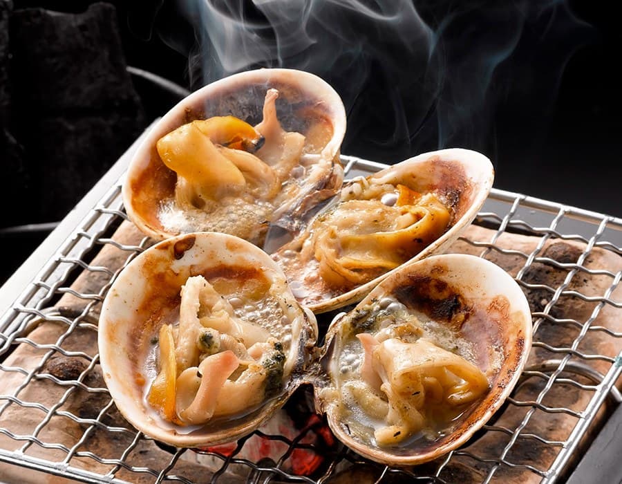 Wild pufferfish cuisine