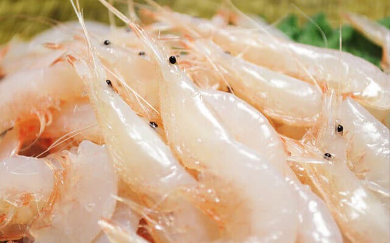 Winter's Delicacy, Himi Yellowtail