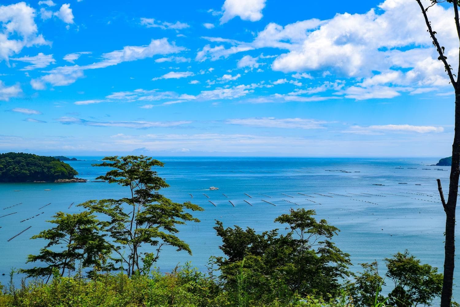 The Beauty of Shizugawa Bay