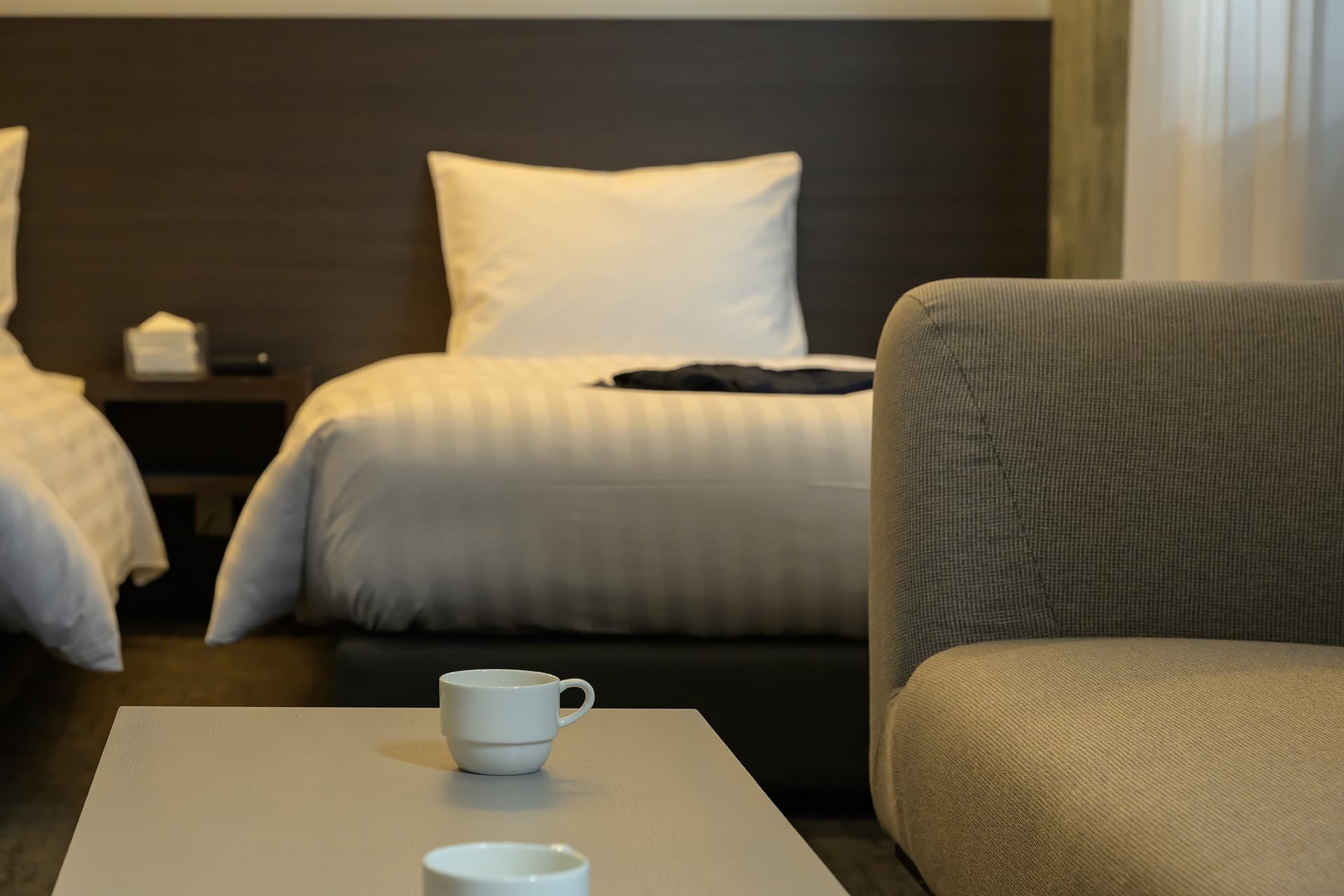 Bright, Standard Twin Rooms