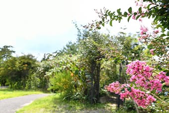 Close to the Station, with a Free Shuttle