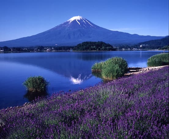 Scenery Through the Seasons