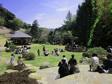 3.6만 평 대지에 점점이 흩어진 '和의 리조트'