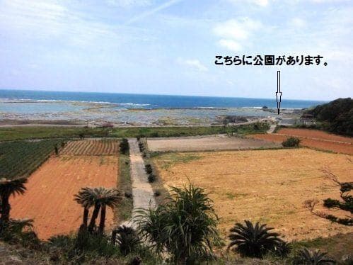 The Natural Surroundings