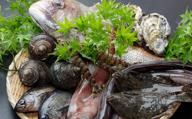 The Freshness of the Local Waters, That Day's Catch