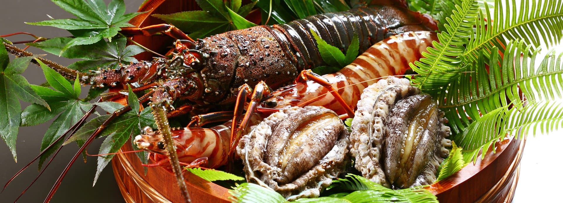 Organic Vegetables and Amakusa Seafood