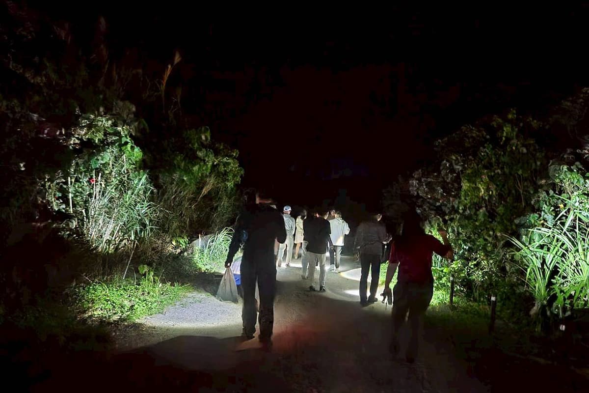 Most Popular: A Nighttime Wildlife Expedition