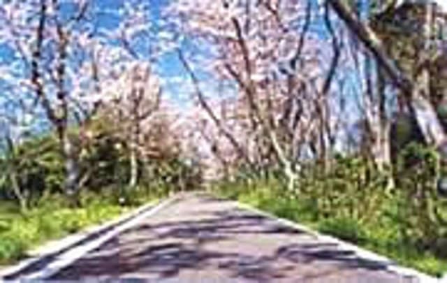 Scenery of the Shonai Peninsula