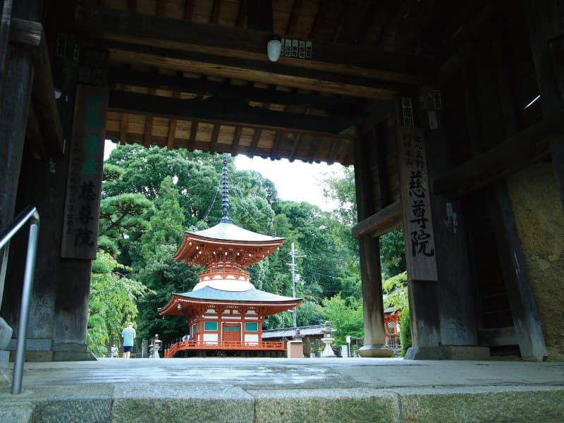 세계유산 순례의 관문