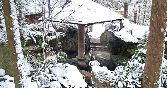 산의 숨은 탕, 전세 노천