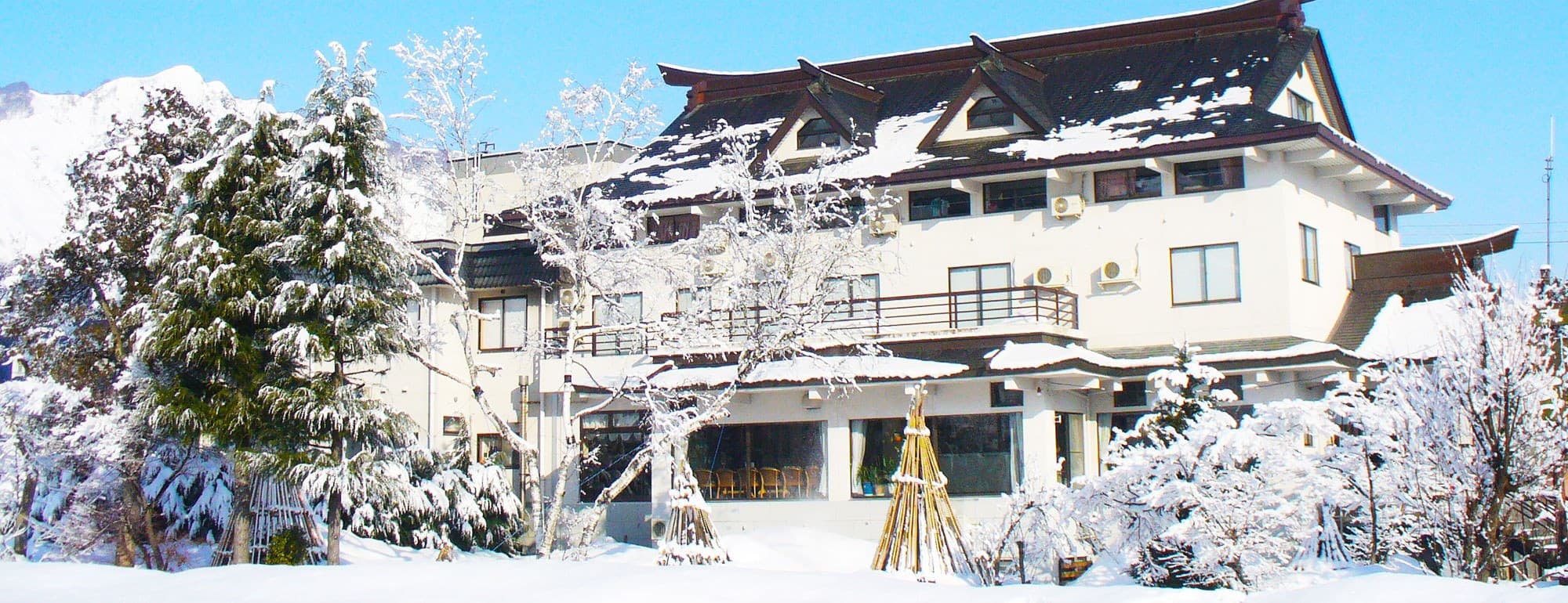 A Pet-Friendly Retreat Amid Nature