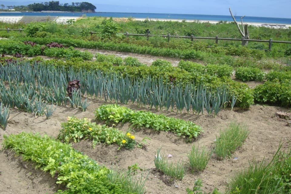 위치 & 접근성