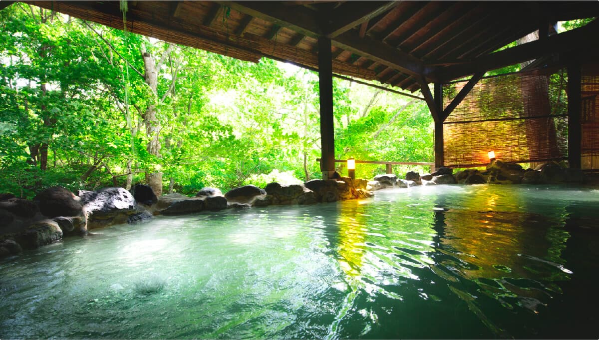 Open-Air and Large Baths Facing the Forest