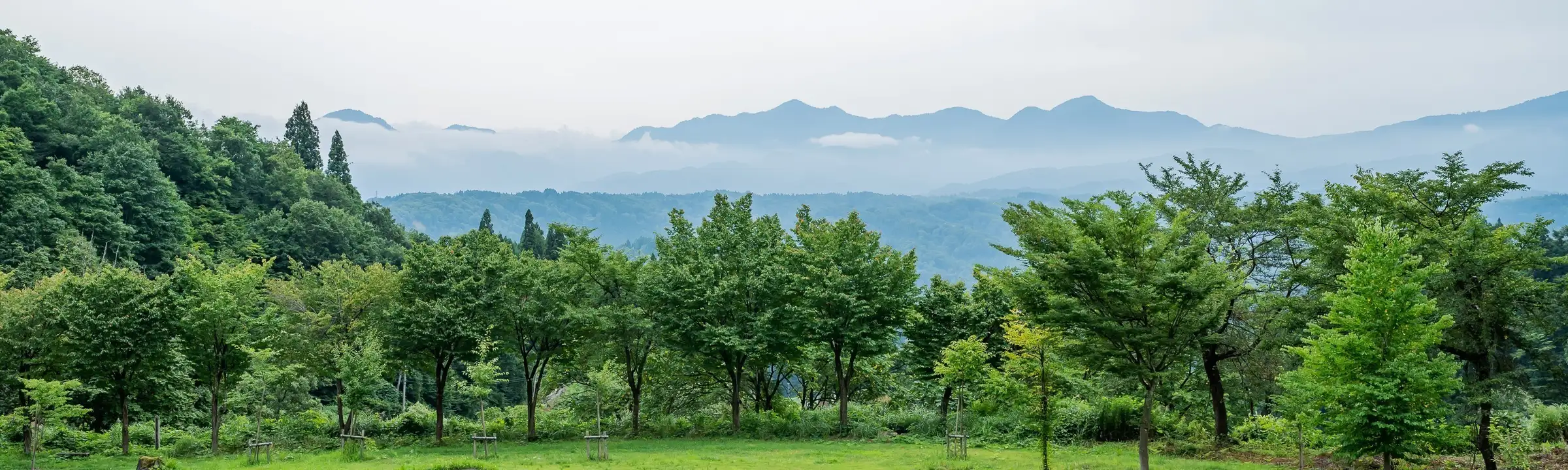 사계절 대자연과 신에쓰 트레일