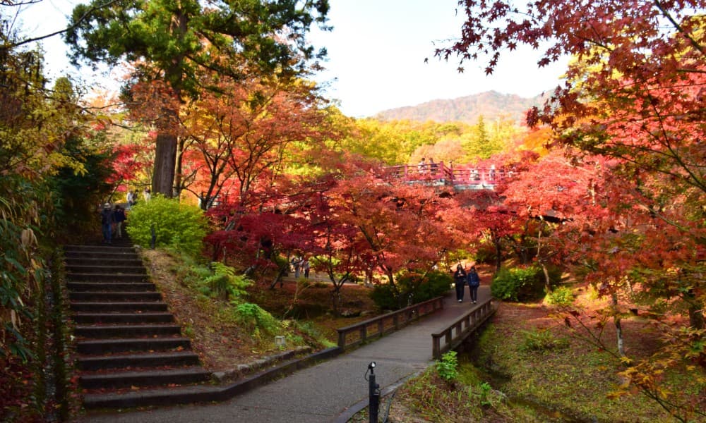 Yahiko Village at the Foot of a Sacred Mountain