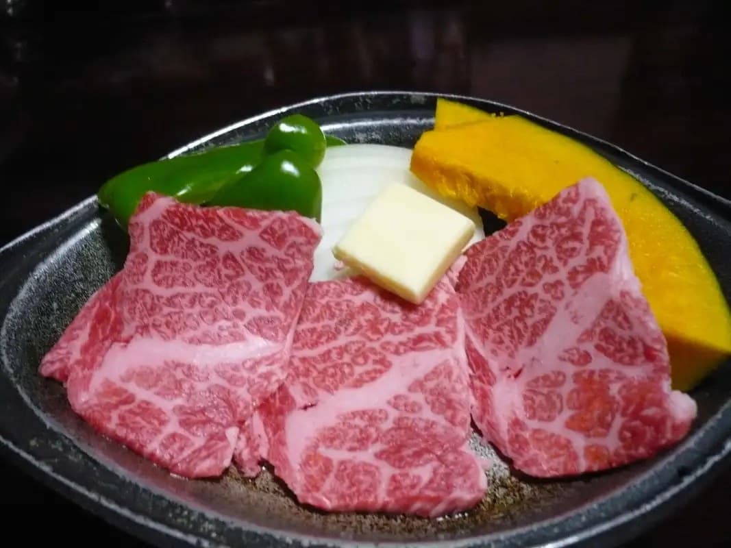 Hida Beef and Carbonated-Spring Yudofu