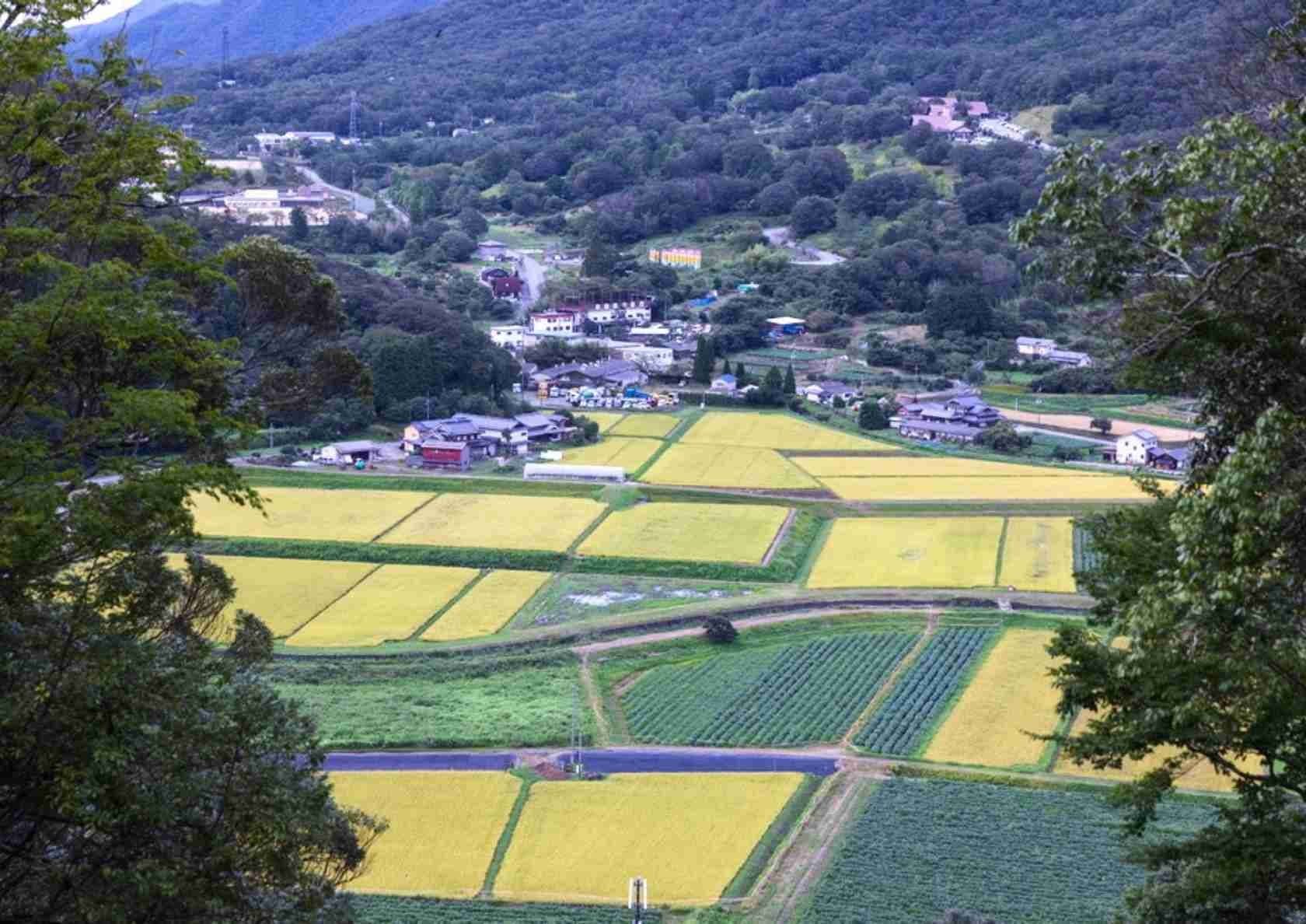 단바사사야마의 사계 미식