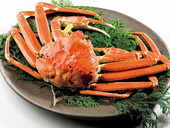 겨울의 越前蟹