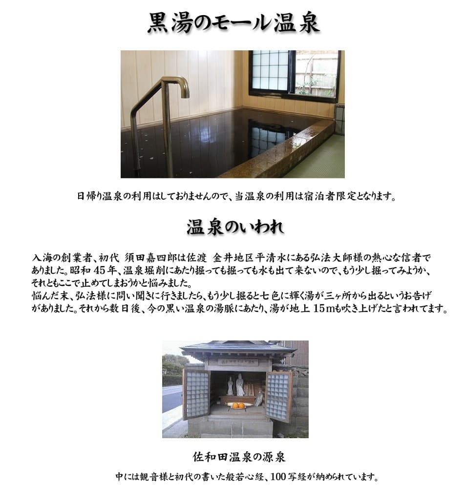 Sawada Onsen Ryokan Iriumi <Sadoshima>