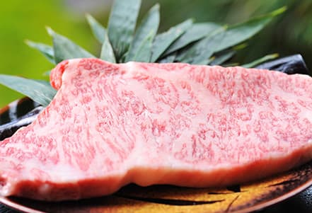 Hida Beef Steak and Winter Shishi Nabe